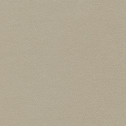 Esprit Dream Champagne M2 L.140cm