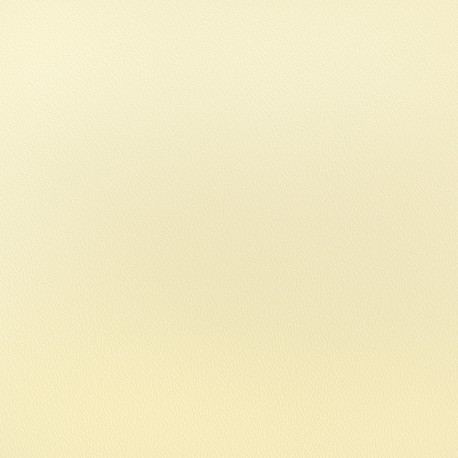 NAUTICA BIFACE CRÈME/CRÈME L.220CM